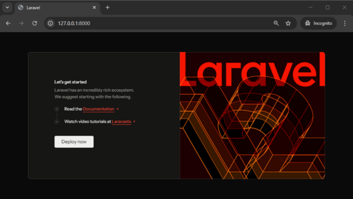 how_to_start_laravel_blank_page